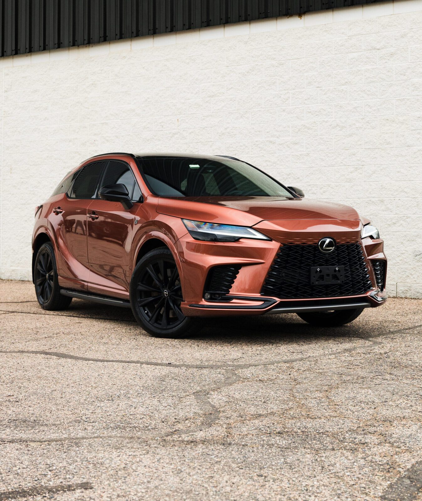 Alpha Auto — paint protection and detailing work, Philadelphia